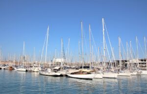 津波に備えるための保険の選び方は？