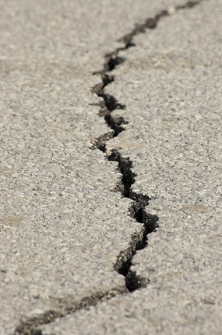 地震保険比較で知っておくべきポイントは？