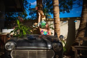 地震保険を選ぶ際に知っておきたい安いランキングは？