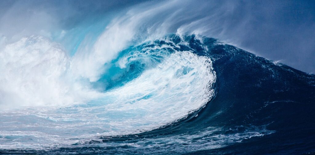 地震後の津波に備えるための火災保険と地震保険の選び方は？