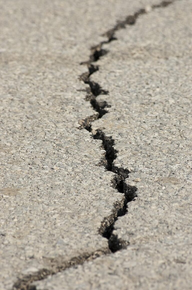 地震保険のおすすめは？評判を徹底比較して失敗しない選び方を解説！